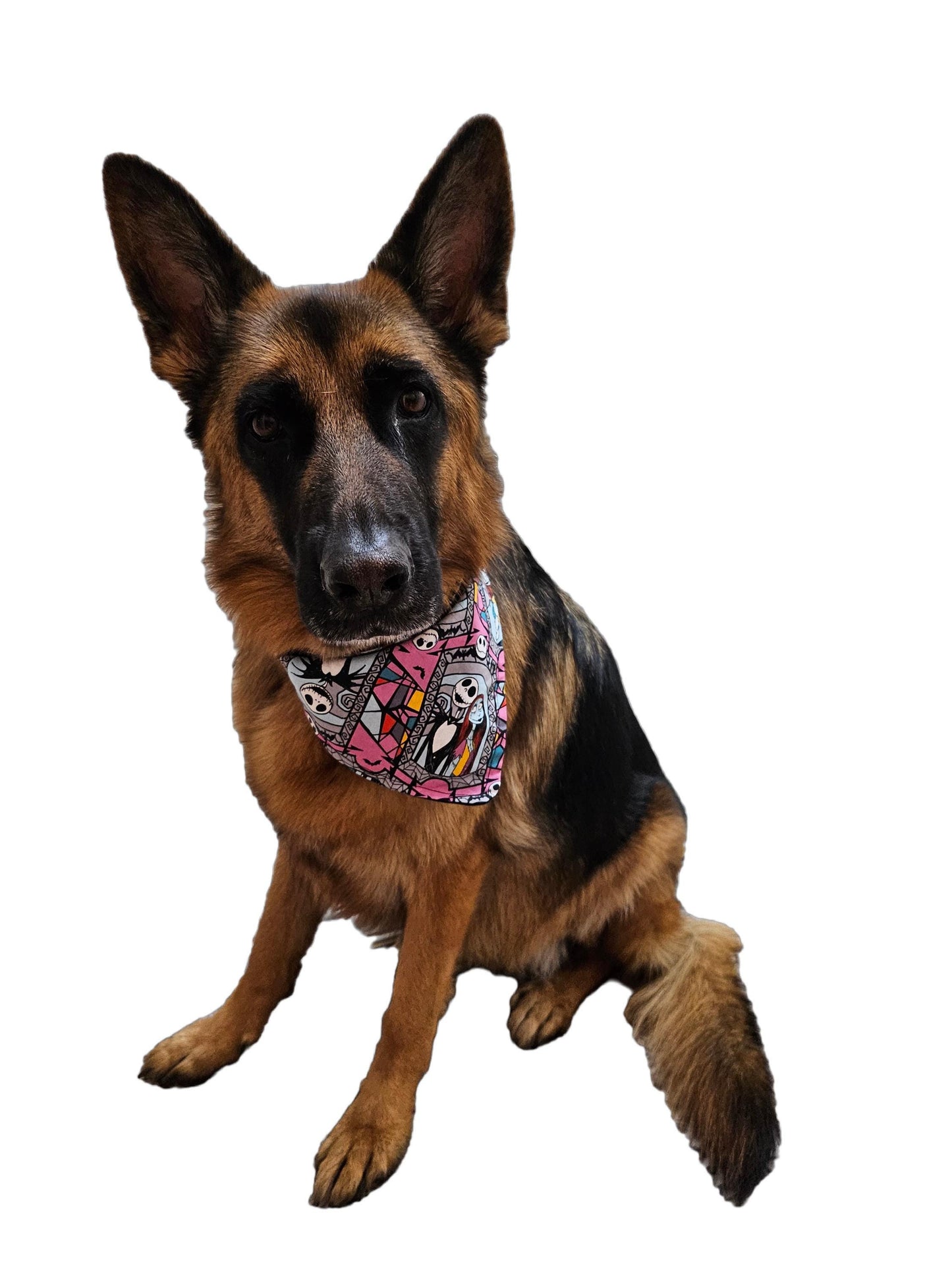 Dog Bandana - Nightmare Before Christmas