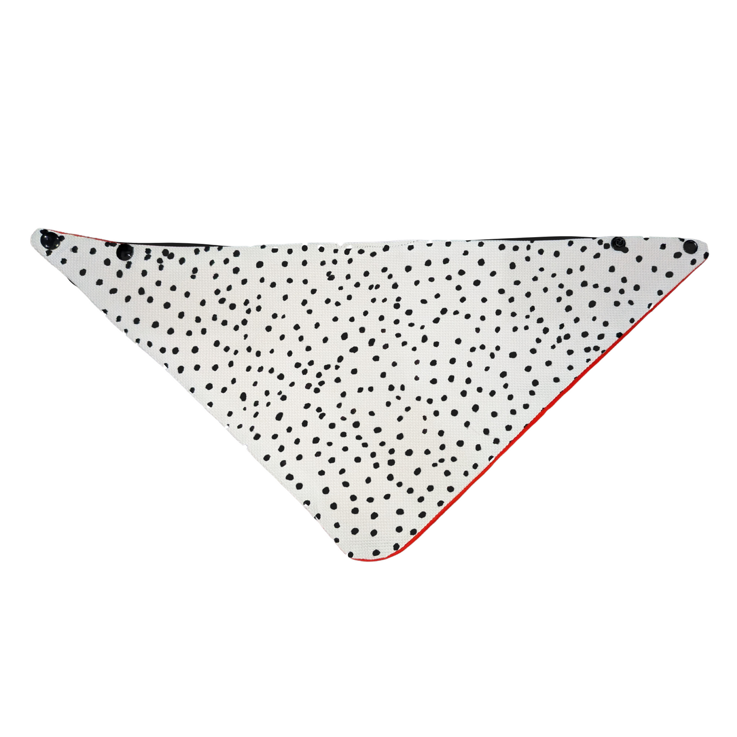 Dog Bandana - Pawka Dots