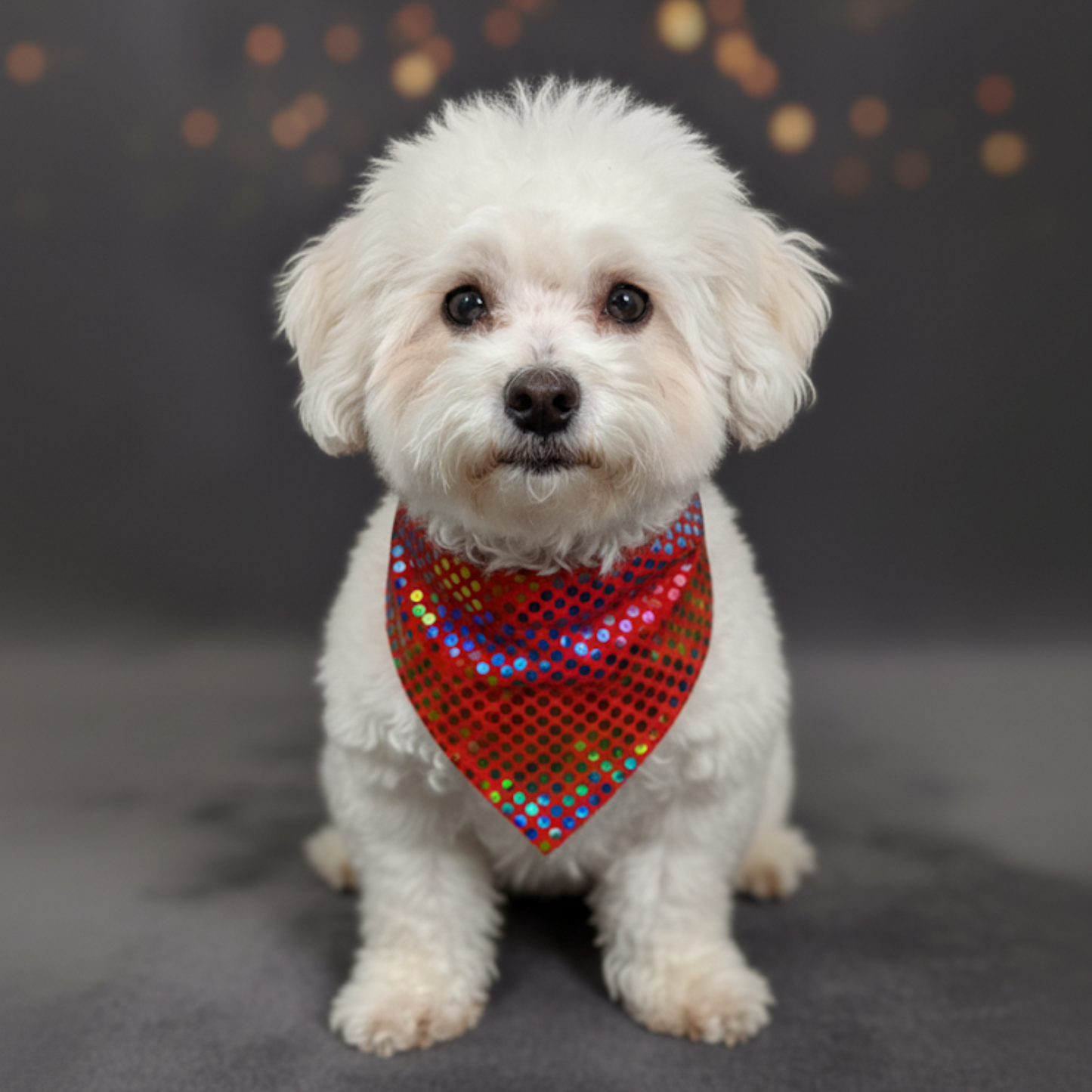 Dog Bandana - Scarlet Sparkle