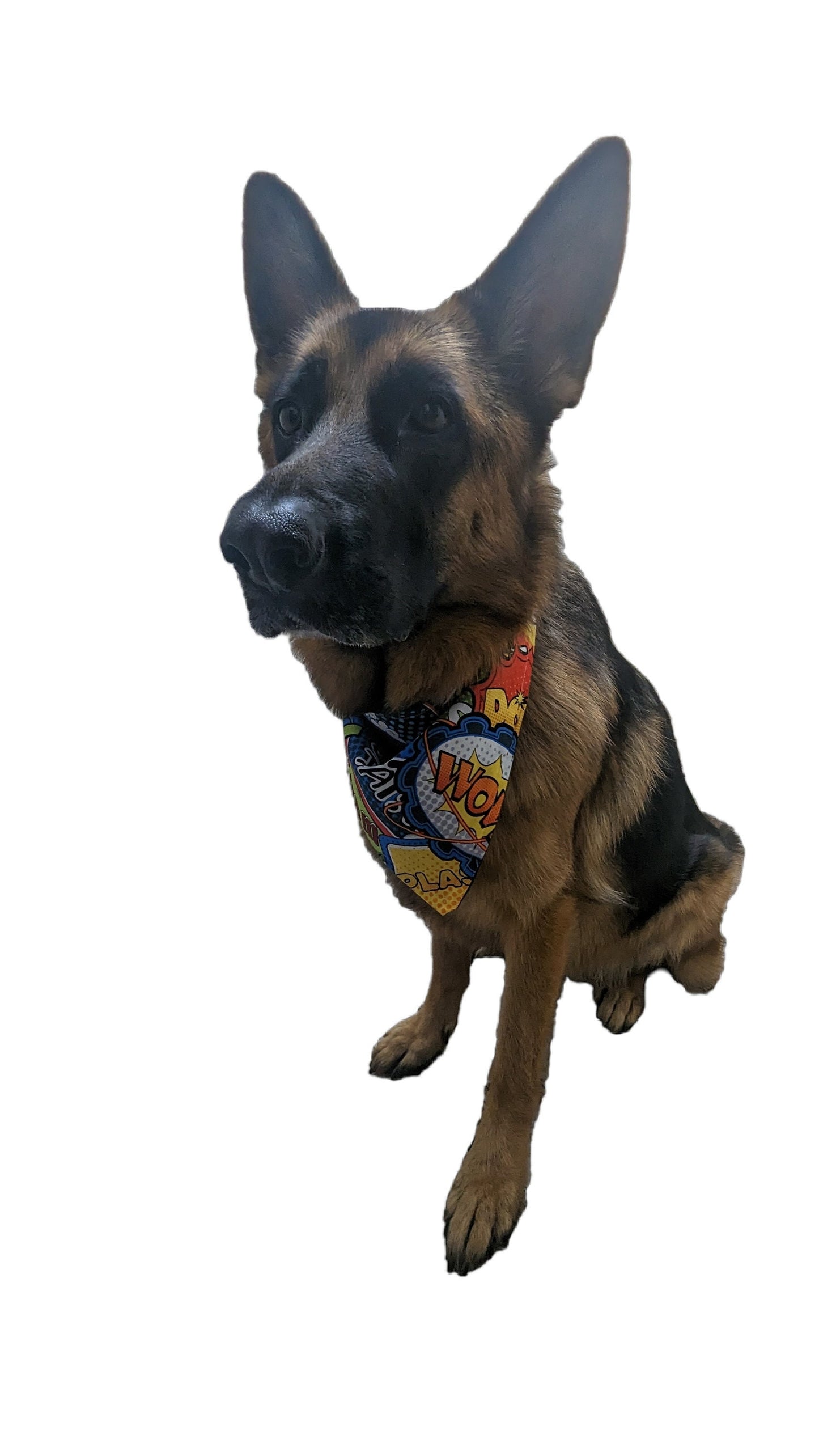 Dog Bandana - Comic Book