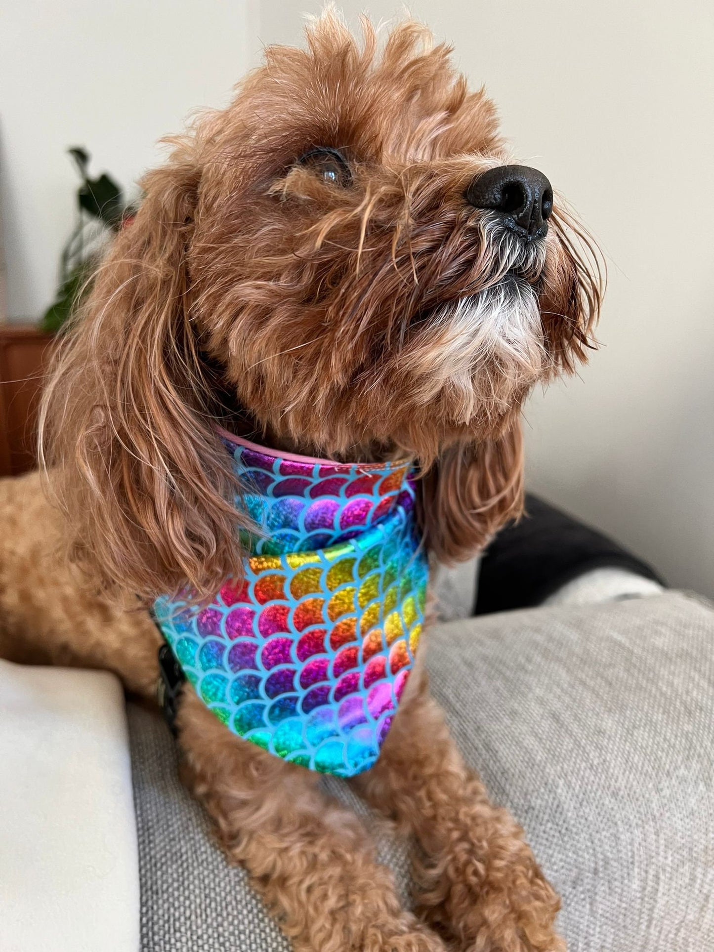 Dog Bandana - Blue Mermaid