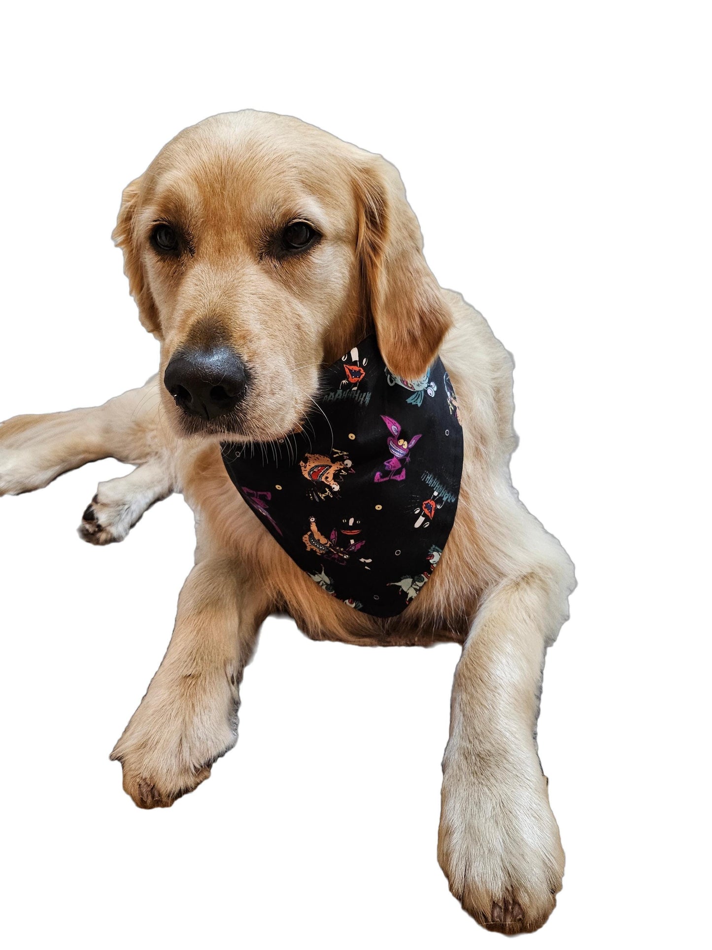 Dog Bandana - Aaahh!! Real Monsters