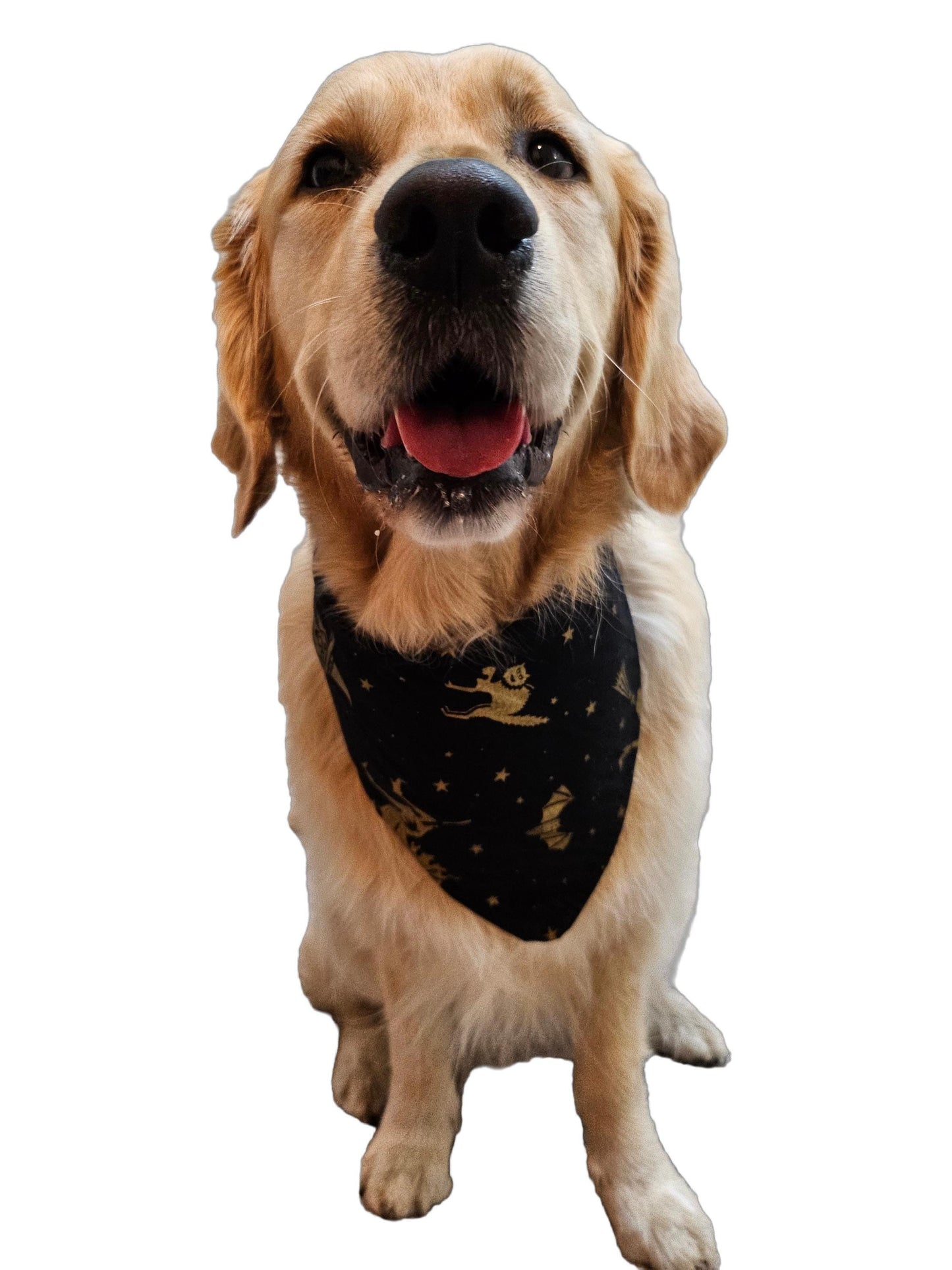 Dog Bandana - Gold Witches