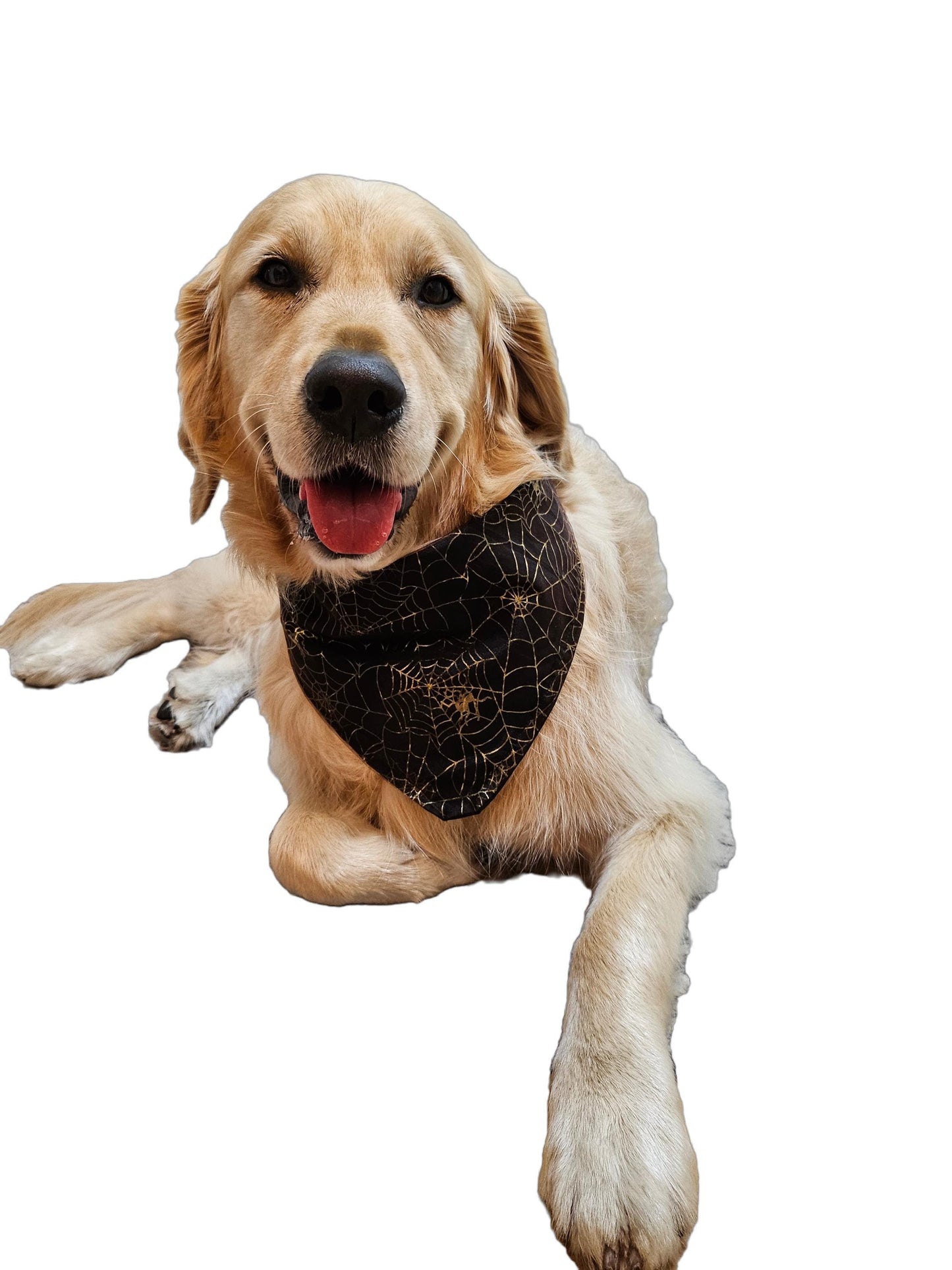 Dog Bandana - Halloween Spiderwebs