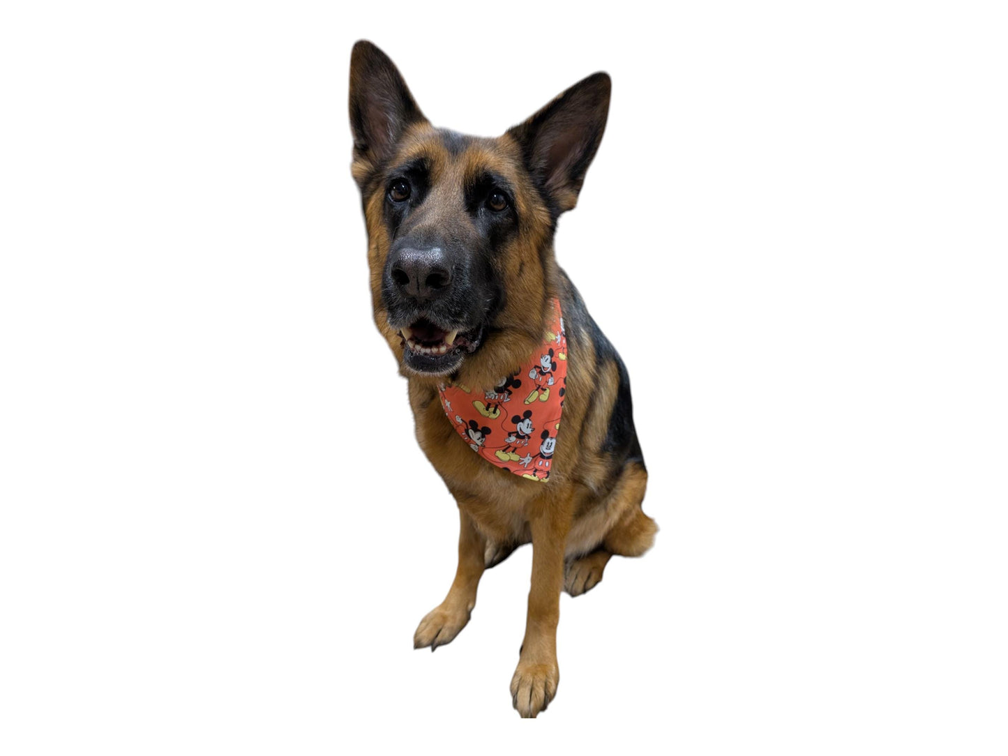 Dog Bandana - Mickey Mouse