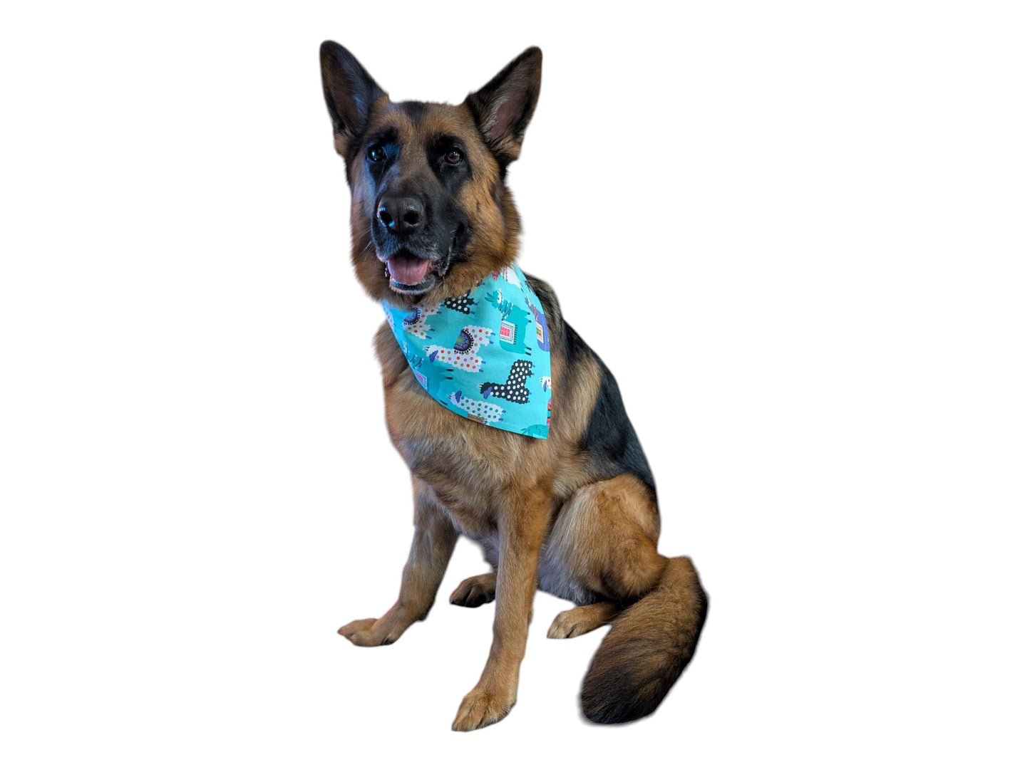 Dog Bandana - Alpacas
