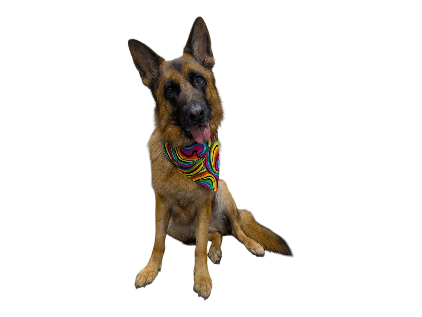 Dog Bandana - Psychedelic
